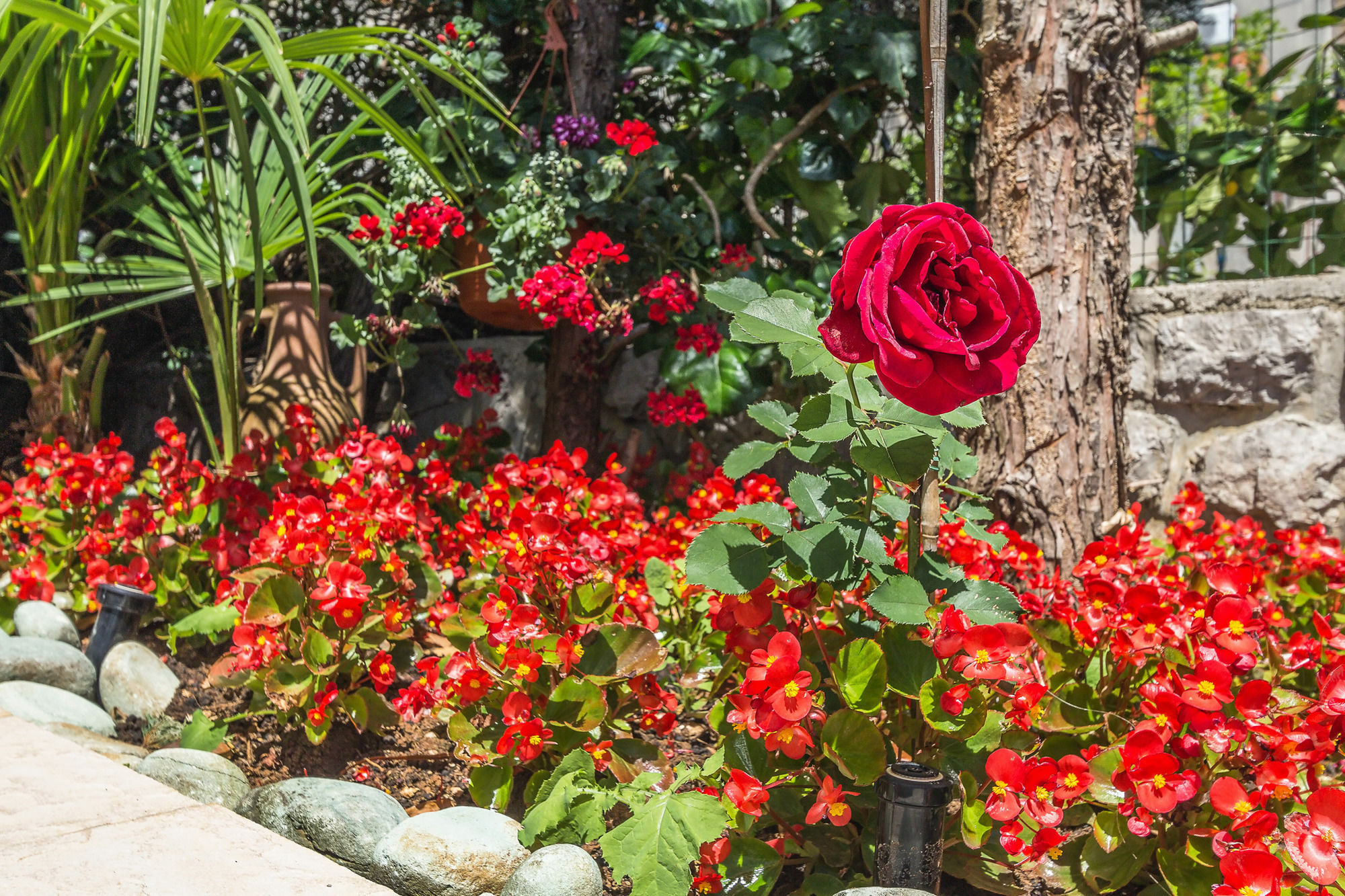 Villa Roses Apartments & Wellness Ičići Eksteriør billede